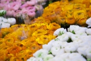 MIN RUNGIS-Fleurs-59